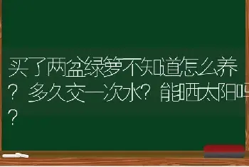 买了两盆绿箩不知道怎么养？多久交一次水？能晒太阳吗？