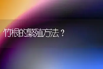 竹根的繁殖方法？