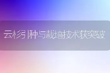 云杉引种与栽培技术获突破