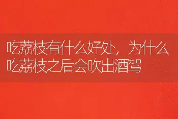 吃荔枝有什么好处，为什么吃荔枝之后会吹出酒驾