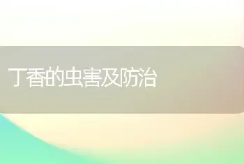 丁香的虫害及防治