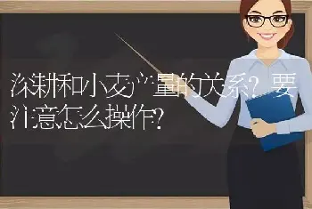 深耕和小麦产量的关系？要注意怎么操作？