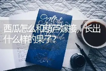 西瓜怎么和葫芦嫁接，长出什么样的果子？