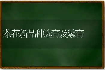 茶花新品种选育及繁育