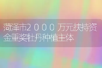 菏泽市2000万元扶持资金重奖牡丹种植主体