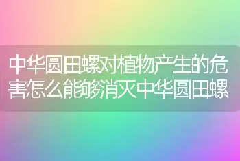 中华圆田螺对植物产生的危害怎么能够消灭中华圆田螺