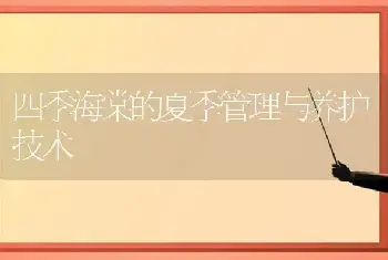 四季海棠的夏季管理与养护技术