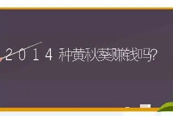 2014种黄秋葵赚钱吗？