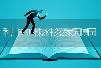 利川80株水杉安家园博园