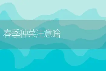 春季种菜注意啥