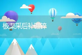 板栗采后补硼锌