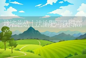 西兰花侧枝栽培管理要点