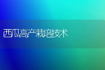 西瓜高产栽培技术