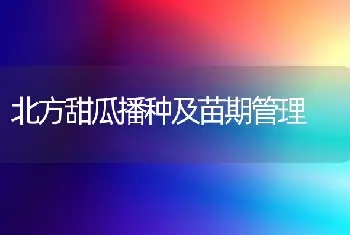 北方甜瓜播种及苗期管理