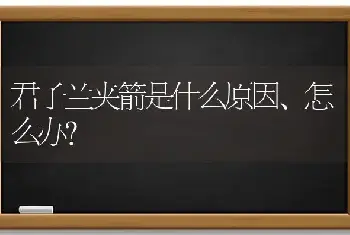 君子兰夹箭是什么原因、怎么办?