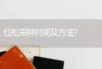 红松采种时间及方法？