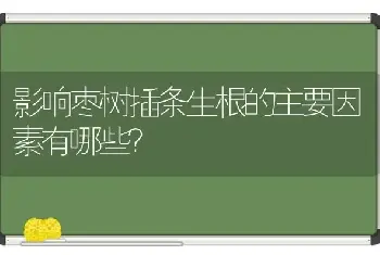 影响枣树插条生根的主要因素有哪些？