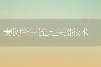 麦收后棉花管理关键技术