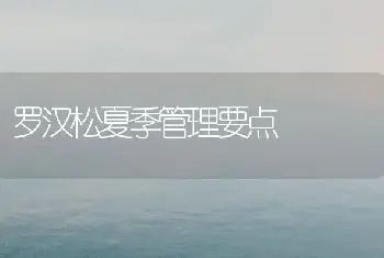 罗汉松夏季管理要点