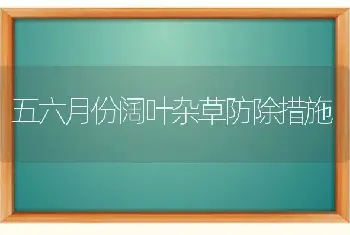 五六月份阔叶杂草防除措施