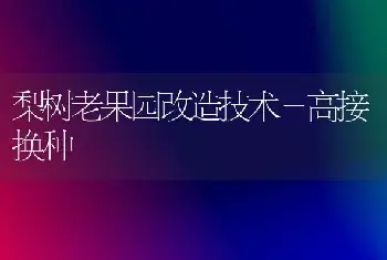 梨树老果园改造技术－高接换种