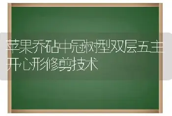 苹果乔砧中冠树型双层五主开心形修剪技术