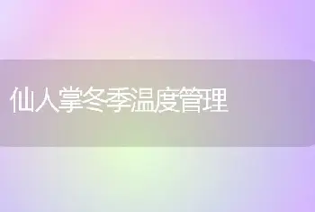 仙人掌冬季温度管理