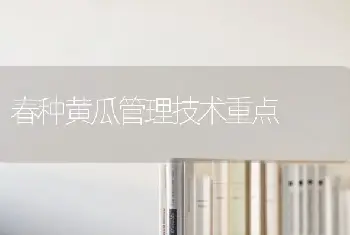 春种黄瓜管理技术重点