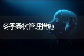 冬季桑树管理措施