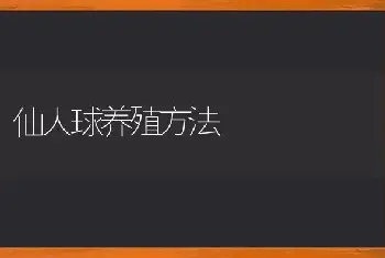 仙人球养殖方法