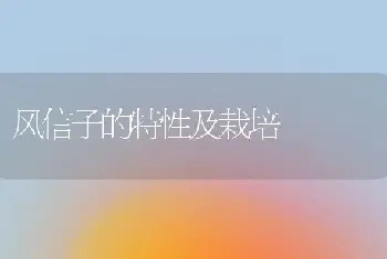 风信子的特性及栽培