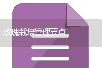 玫瑰栽培管理要点