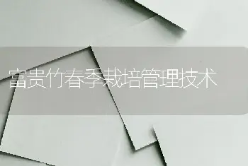 富贵竹春季栽培管理技术