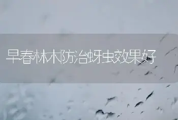 早春林木防治蚜虫效果好