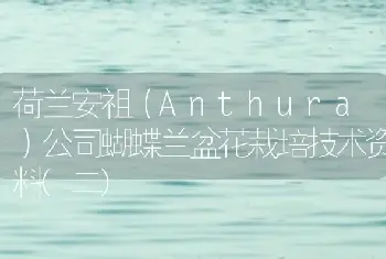 荷兰安祖（Anthura）公司蝴蝶兰盆花栽培技术资料(二)