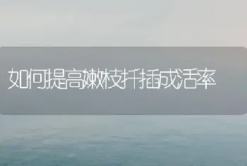 如何提高嫩枝扦插成活率