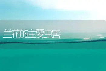 兰花的主要虫害