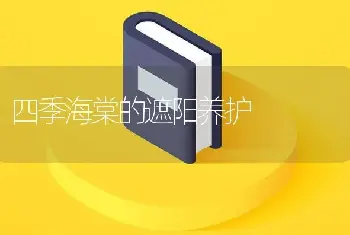 四季海棠的遮阳养护