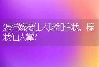 怎样嫁接仙人球和柱状、棒状仙人掌?