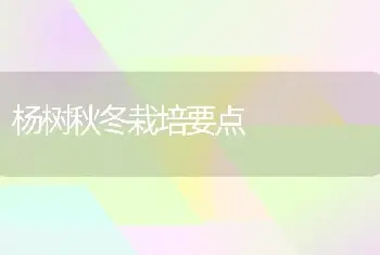 杨树秋冬栽培要点