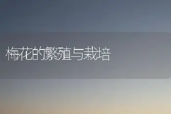 夏季让休眠的花卉“睡”好