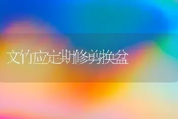 黄心夜合的采种与培育-花木组培技术