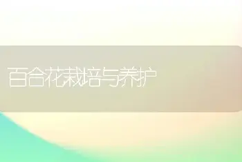 百合花栽培与养护