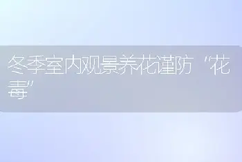 冬季室内观景养花谨防“花毒”