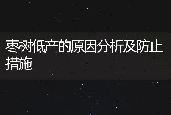 枣树低产的原因分析及防止措施