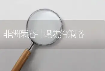 非洲菊潜叶蝇防治策略