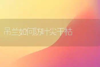 碧桃的栽培管理技术