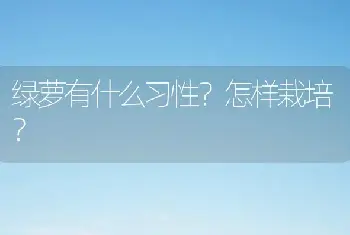 绿萝有什么习性？怎样栽培？