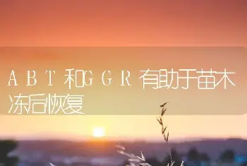 ABT和GGR有助于苗木冻后恢复