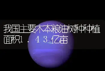 我国主要木本粮油树种种植面积1.43亿亩